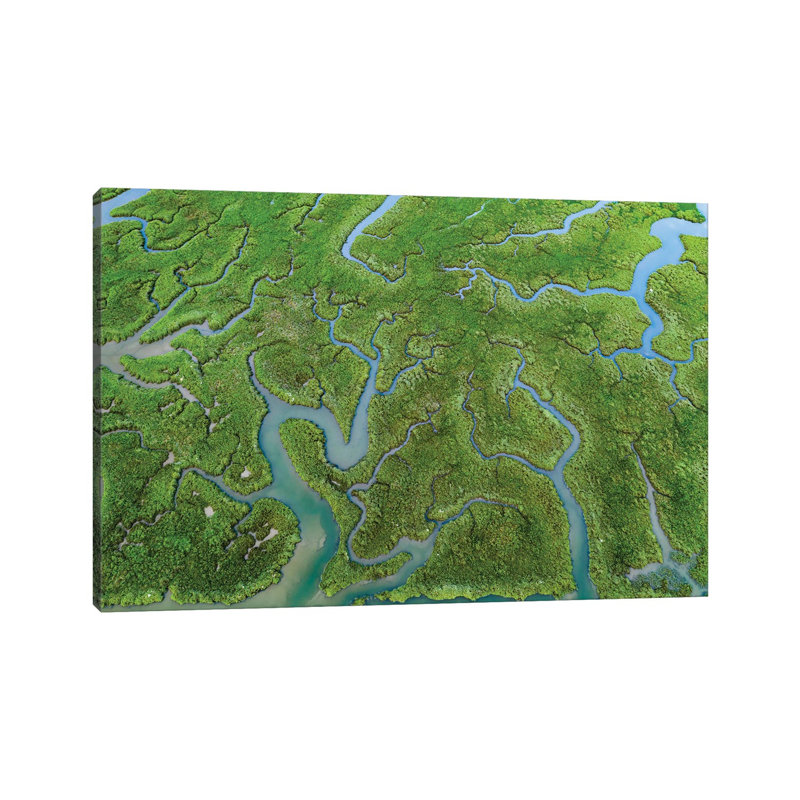 Nature's Patterns II by Adam Burton - Wrapped Canvas Print, 66.04 cm H x 45.72 cm W x 1.91 cm D