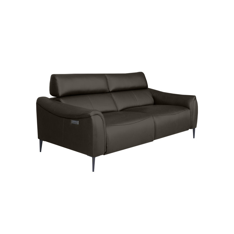164 cm Genuine Leather Pillow Top Arm Reclining Sofa, Anthracite