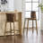Modern Minimalist Barstool