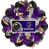 Ravens de Baltimore