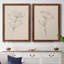 Toile encadrée de qualité supérieure Floral Contour Study III - prête à être accrochée-1473914134-1473914143