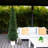 5ft. UV Resistant Artificial Cedar Tree in Decorative White Planter (Indoor/Outdoor)-989391091