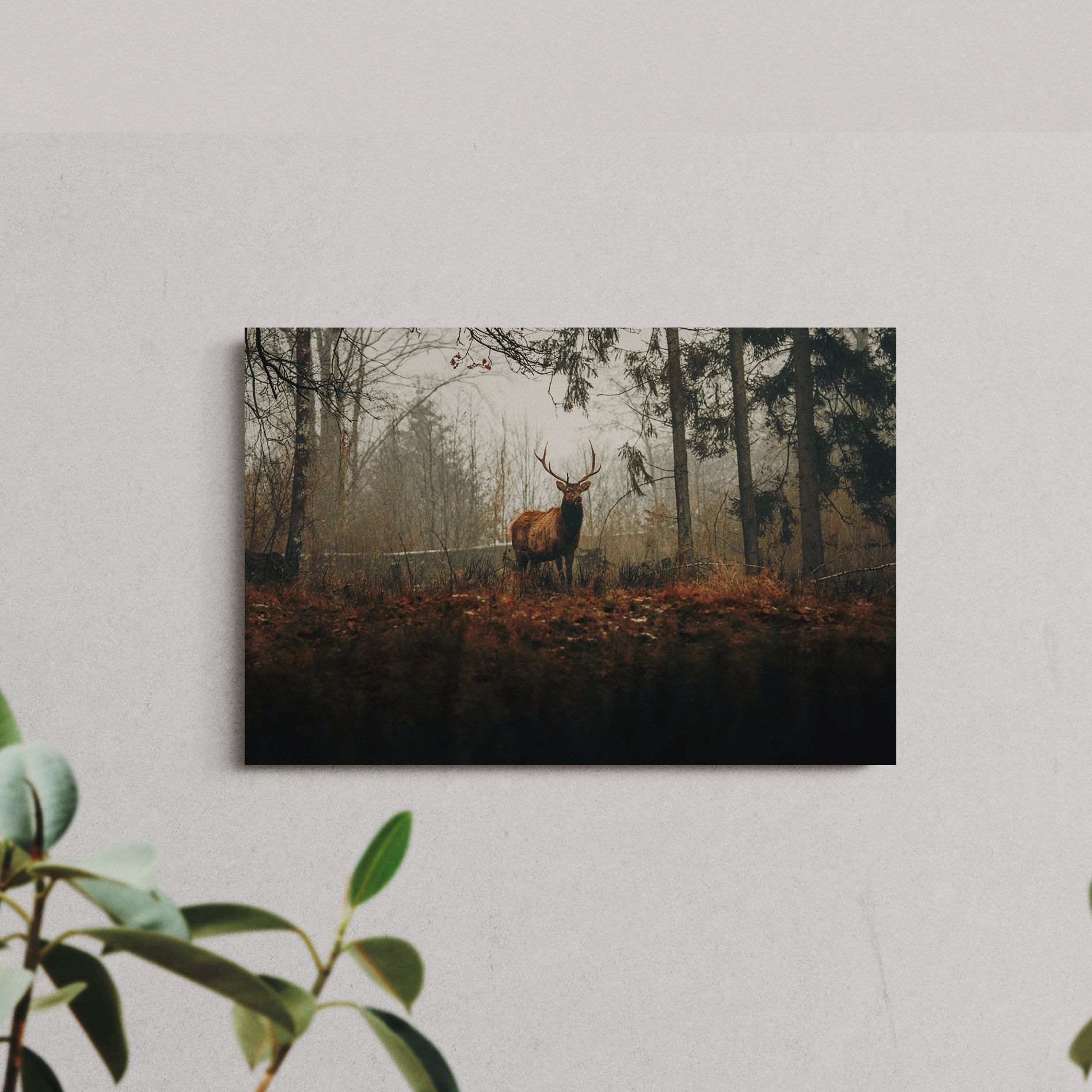 Ebern Designs Deer standing in woods in fall | Wayfair