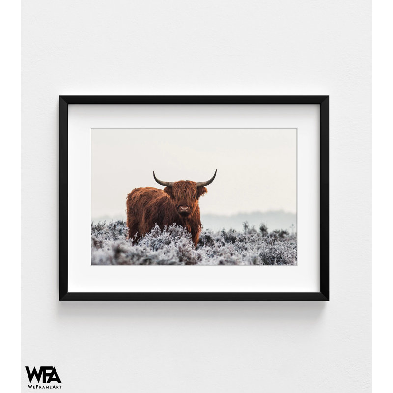 «Highlander» par Van Den, reproduction de photo de vache rustique, idée de décor de vache de montagne, impression de photo de style campagnard