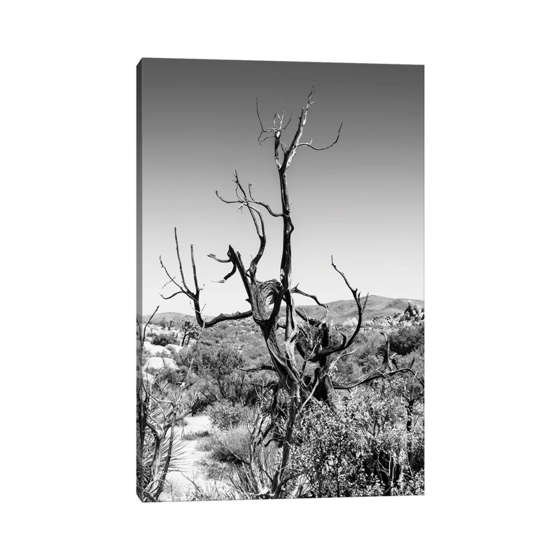 «Black California Series - Dry Tree» par Philippe Hugonnard - reproduction de photo sur toile tendue