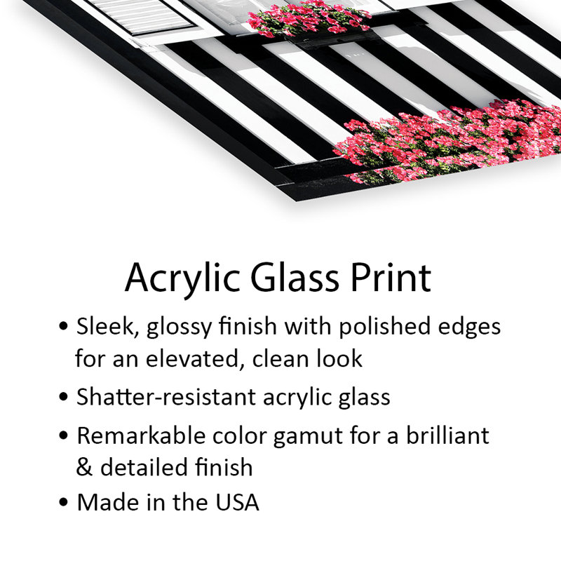 " Black and White Striped Window " Print