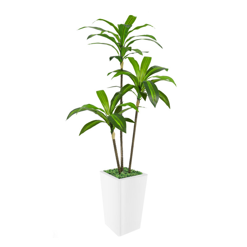 Dracaena artificiel, faux Dracaena avec grand pot de fleurs blanc, feuilles réalistes, H 60 po x l 10,2 po x P 10,2 po