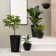 Amimma Tall Planters, 2 Set Large Rectangular Tall Planters for Outdoor Plants