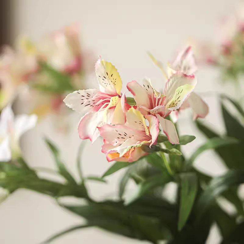 Arrangement