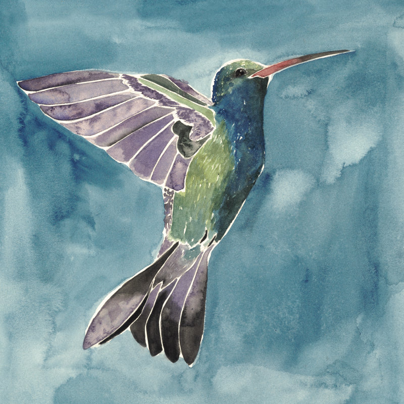 Watercolour Hummingbird I by Grace Popp - Wrapped Canvas Painting, 76cm H x 76cm W x 3.8cm D