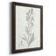 «Botanical Study in Sage III», reproduction d'art sur toile-2065733513