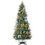 Christmas Trees & Decorations
