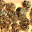 Pyrite Coco