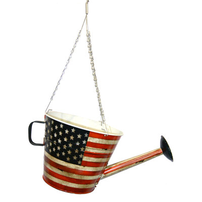 Zebulon Metal Hanging Planter