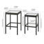 Alexis Glass Top Nesting Tables-1177762406