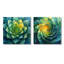 Geometric Spiral Aloe Leaf Succulent I - Succulent Wall Art - Traditional Wall Art Canvas 2 Piece-127143066-127143044-127143042