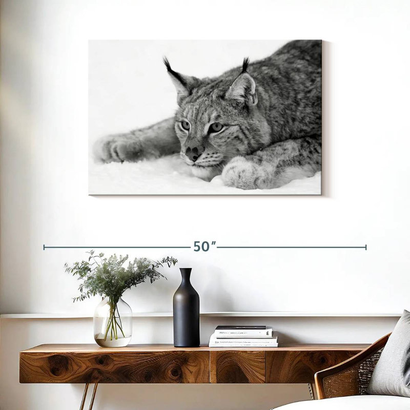 Brampt Lynx BW, 24" H x 36" W
