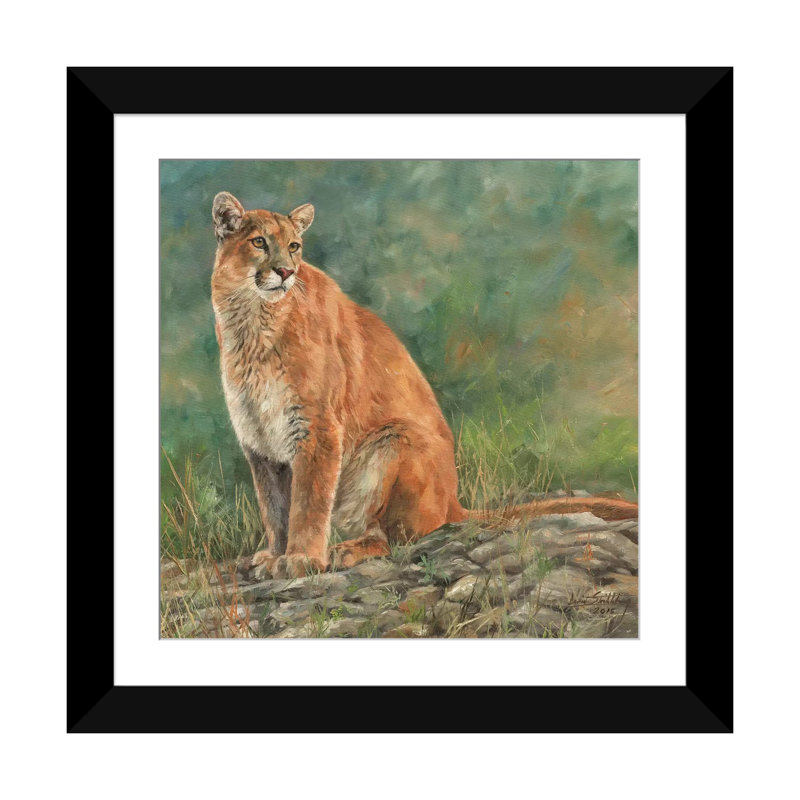 « cougar assis », impression sur toile, H 24 po x l 24 po x P 1 po, Papier d'art encadré noir, Blanc