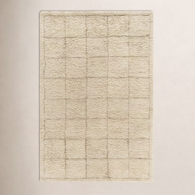 Anemone Hand-Tufted Grid Shag Rug