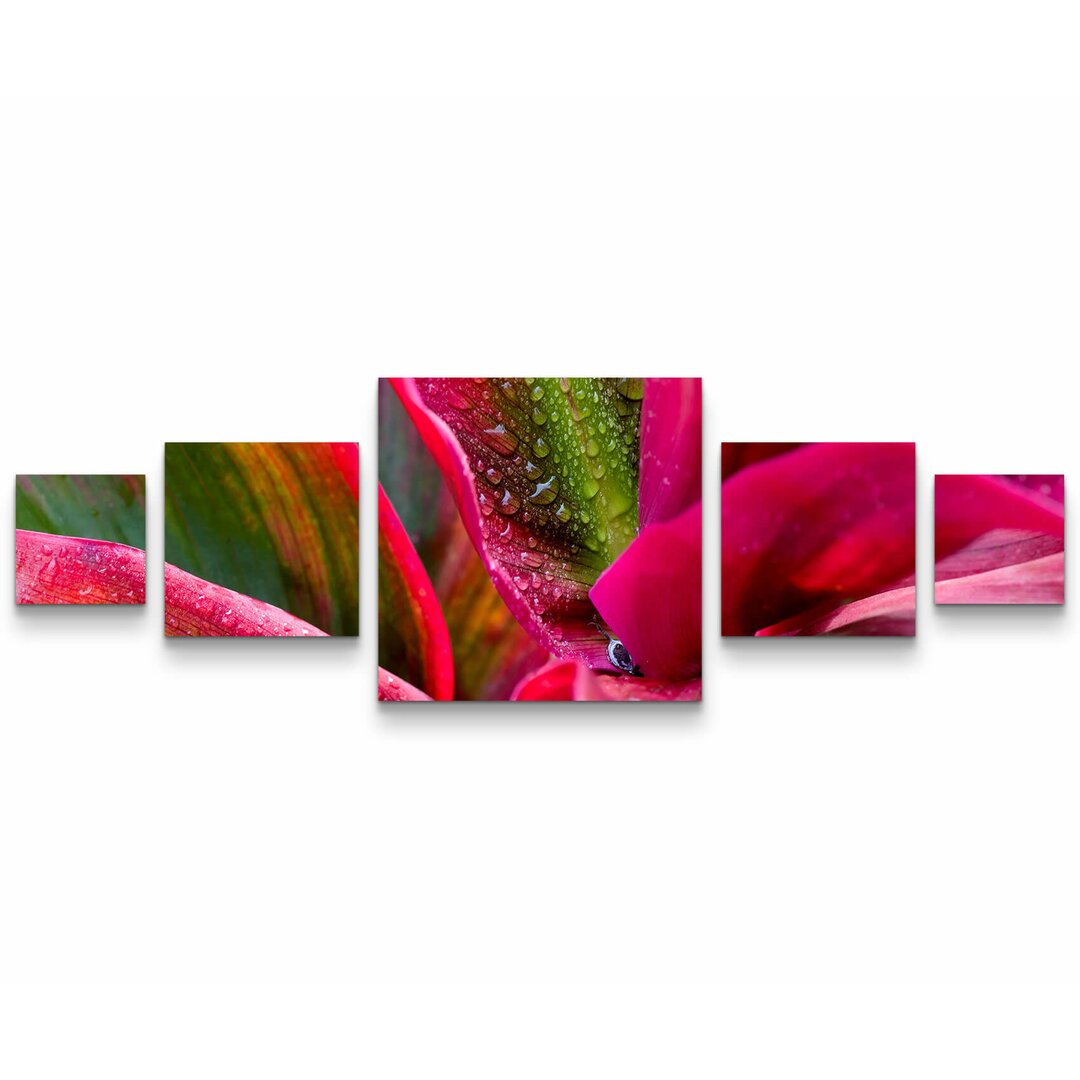 5-tlg. Leinwandbilder-Set Pinke Blume mit Regentropfen