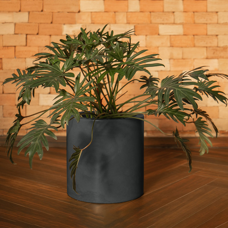 Laparis ECOBO Eco-Friendly Round Pot Planter, Milano Indoor/Outdoor use, Four season Use, 19.7" H x 19.7" W x 19.7" D