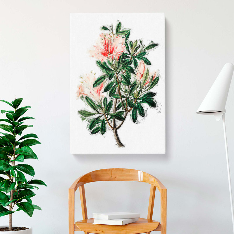 Pink Chinese Azalea Flowers - Wrapped Canvas, 60cm H x 40cm W x 3cm D