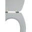 Clarimond Elongated Standard Toilet Seat-1957822898