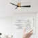 48'' Ceiling Fan with LED Lights
