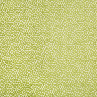 Crypton Home Fabric