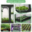 Tente de culture de plantes-62111564