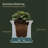 Selevae Resin Planter Box with Water Reservoir-1028672285-1028672230