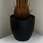 Anlin 70cm Faux Cycas Tree in Pot