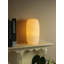 Masayuki Novelty Lamp
