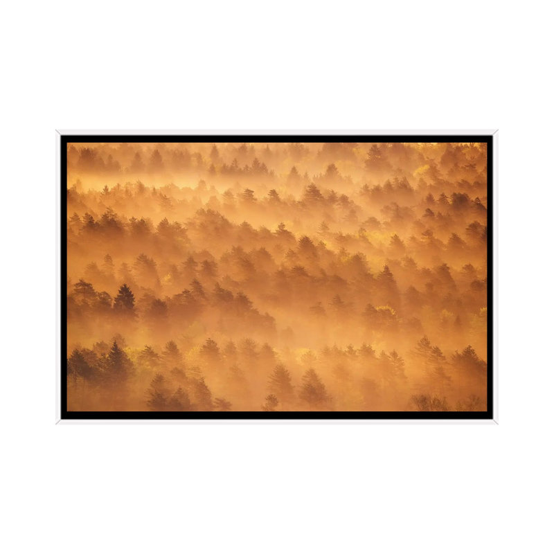 Golden Morning by Ales Krivec - Floater Frame Print on Canvas