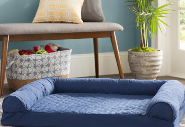 Our Best Dog Bed Deals