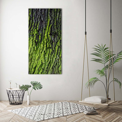 Tree Bark - Wrapped Canvas Print