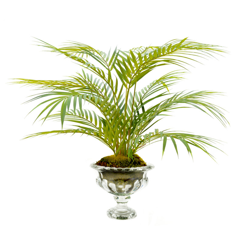 Faux palmier en vase Akeyah