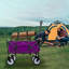 Collapsible Foldable Wagon Cart Utility Wagon Grocery Cart-125205264