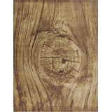 Whimsical R Hand Knotted Wool Wood & Shiplap Area Rug in Brown/Beige