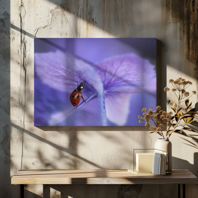 1 Piece Wrapped Canvas Wall Art
