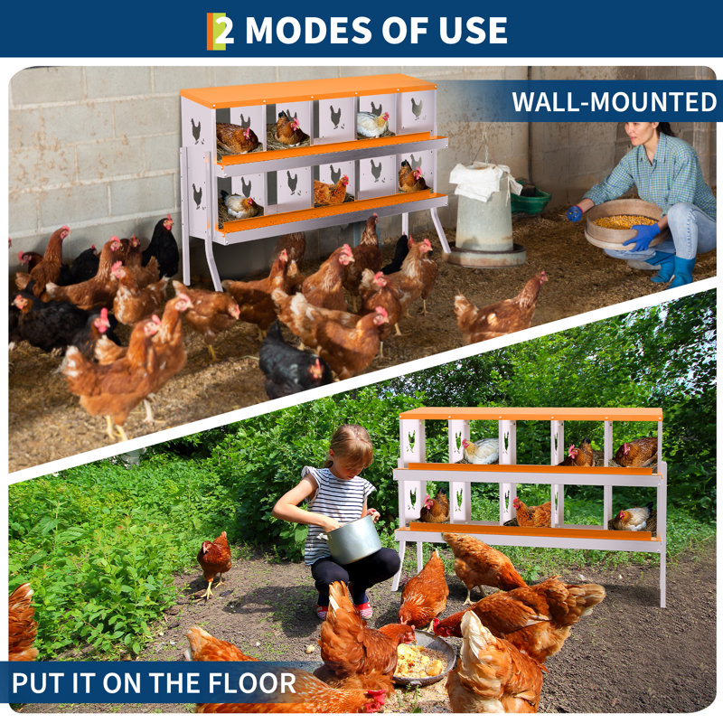 Chicken Coop