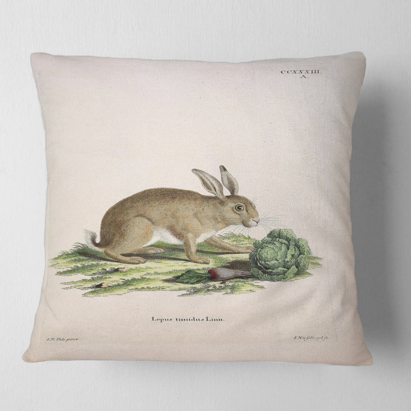 Housse de coussin carré et insert Lapins en tons de terre, 16" x 16"