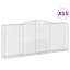 Astromeritis 180 cm H x 400 cm W Iron Fencing Kits Fencing