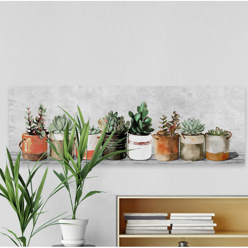 Impression encadrée « indoor succulents », H 10 po x l 30 po x P 1,5 po