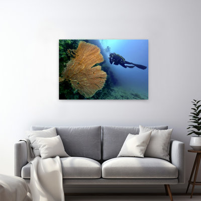 Scuba Diver And Coral Peaceful Serene Tranquil Nature Ocean Wall Art Print