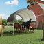 Abri pour animaux 12 pi x 12 pi Corral-128614621