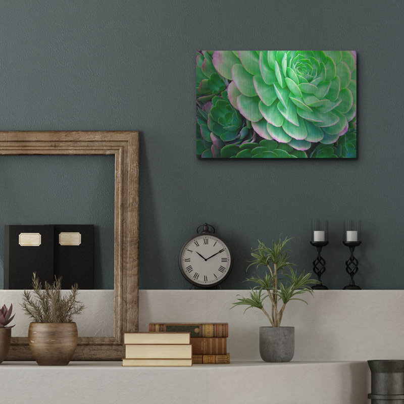 «Succulents IV» par Dennis Frates, H 12 po x l 16 po