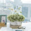 Artificial Plant