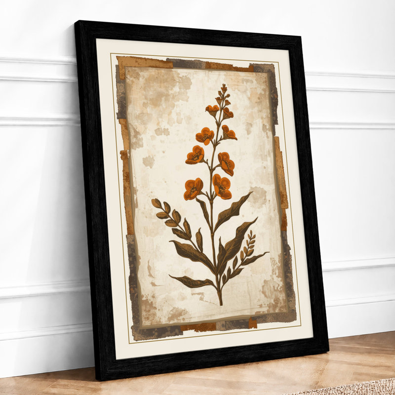 Antique Specimen Botanical - Framed Print, A2 - 59.4 x 42.0 cm, Black