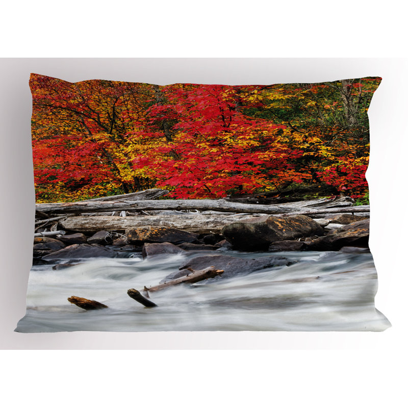 Ensemble de 2 taies décoratives Ambesonne Autumn, H 20 po x l 30 po